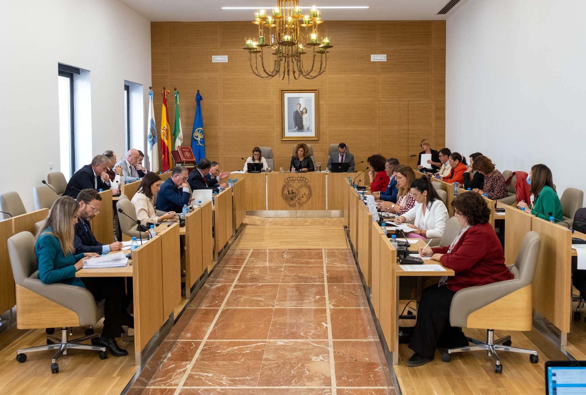 Pleno Ordinario Diputación1