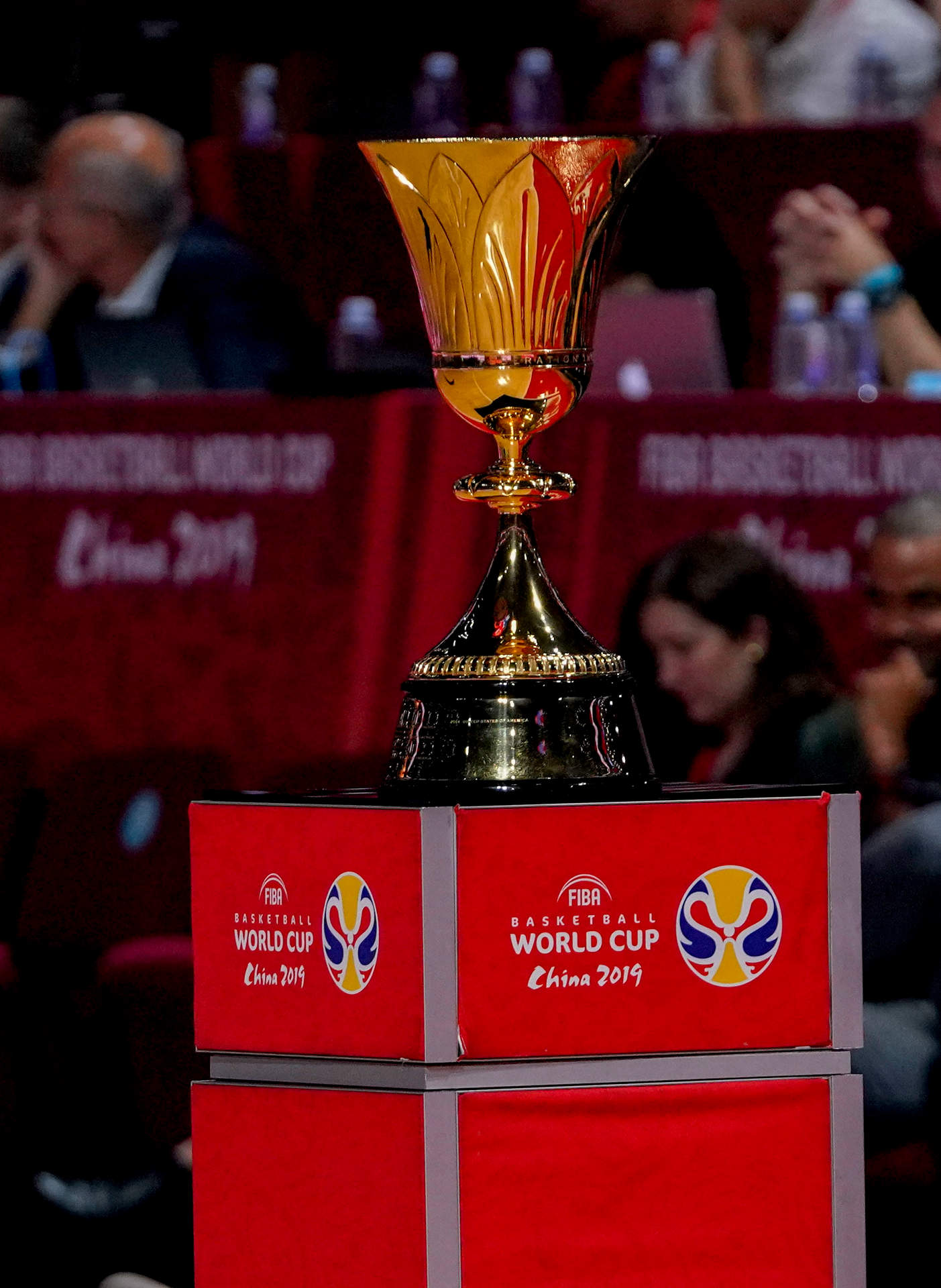 copa del mundo 2019