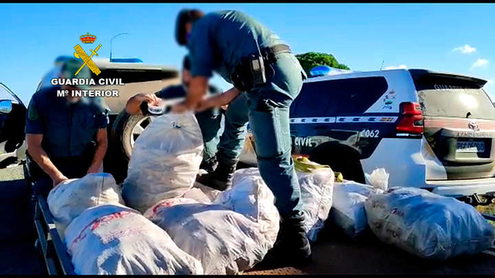 Piñas amontonadas tras su intervención