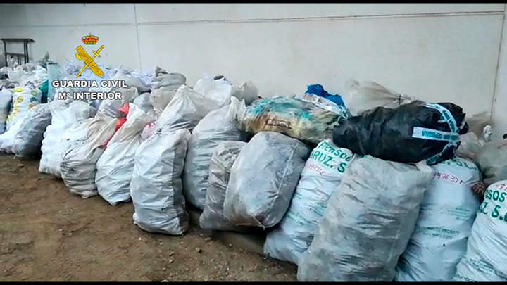Sacos con las piñas incautadas