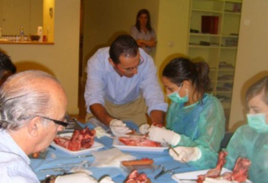 En plena formación