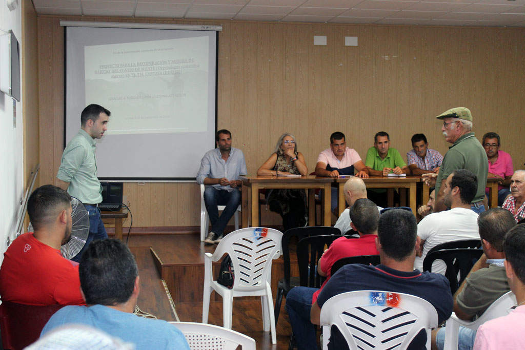 Presentación del proyecto