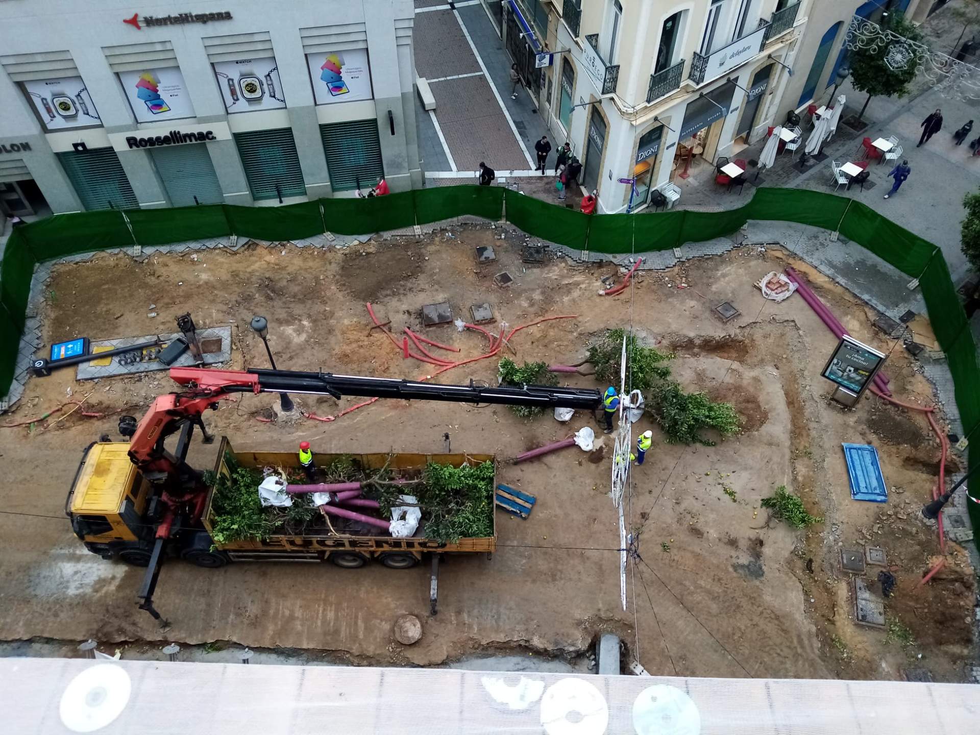 Arboleda obras del centro en Plus Ultra