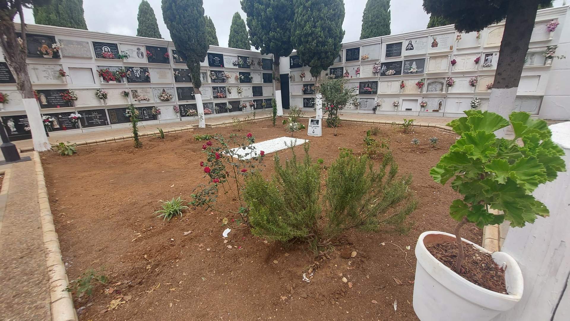 Sector del cementerio sanjuanero donde está enterrado Jesús Rodríguez Quintero