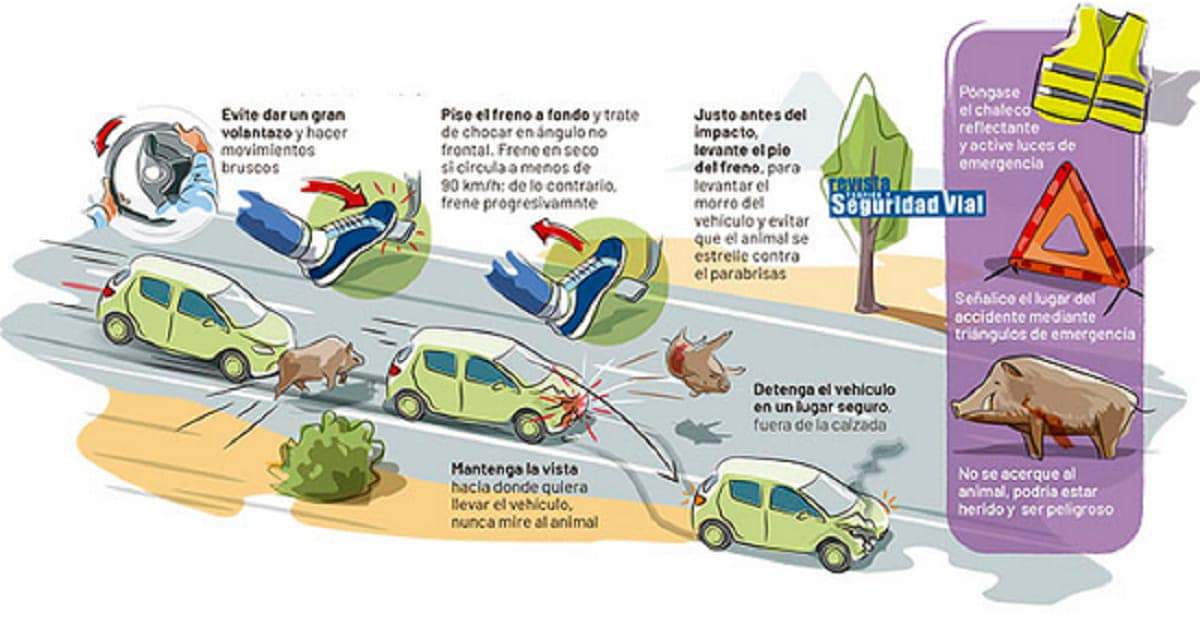 Consejos ante este tipo de incidencias
