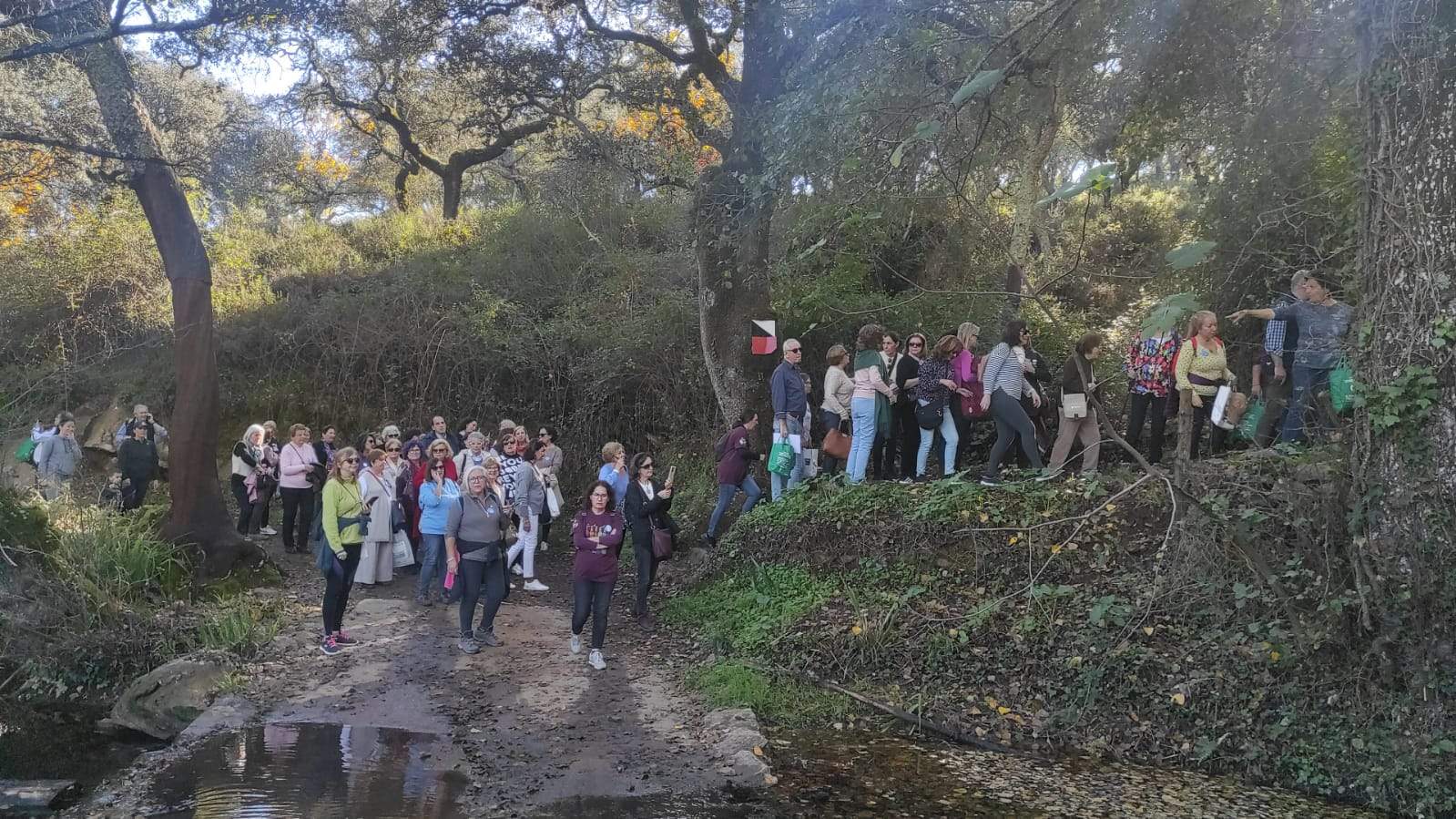 Senderismo por el bosque de las Letras