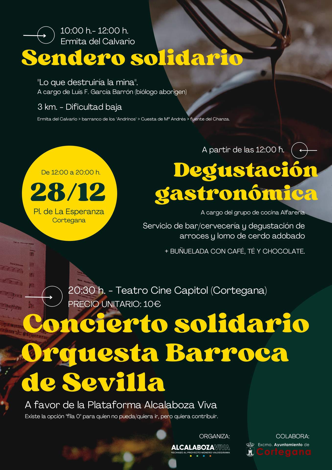 Concierto solidario