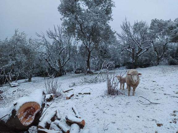 Nevada de hace dos años en la Sierra de Huelva