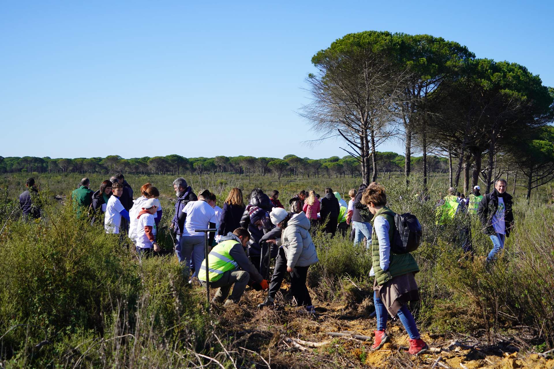 Reforestación en Las Peñuelas