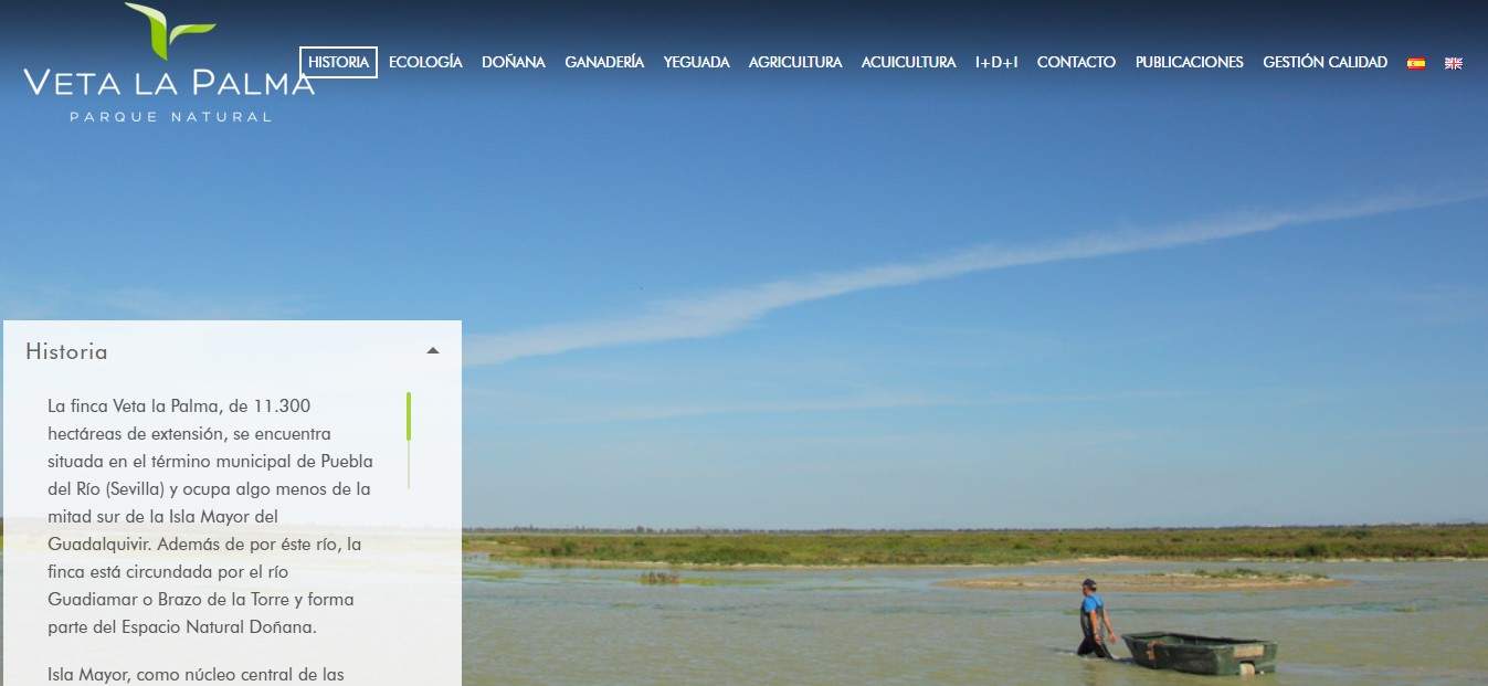 Captura de pantalla de la web