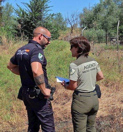 Investigación de un incendio en el lugar