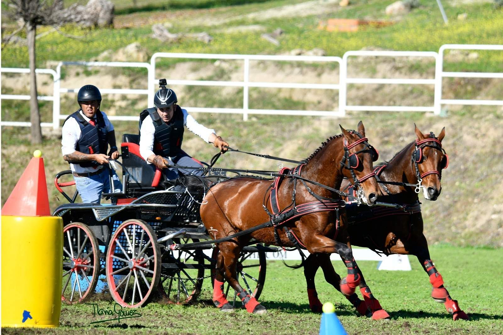 Campeonato España Enganches con Prudencia en acción