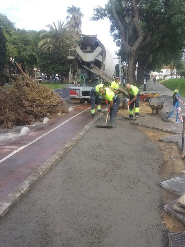 Alcorque San Sebastián (tapado)