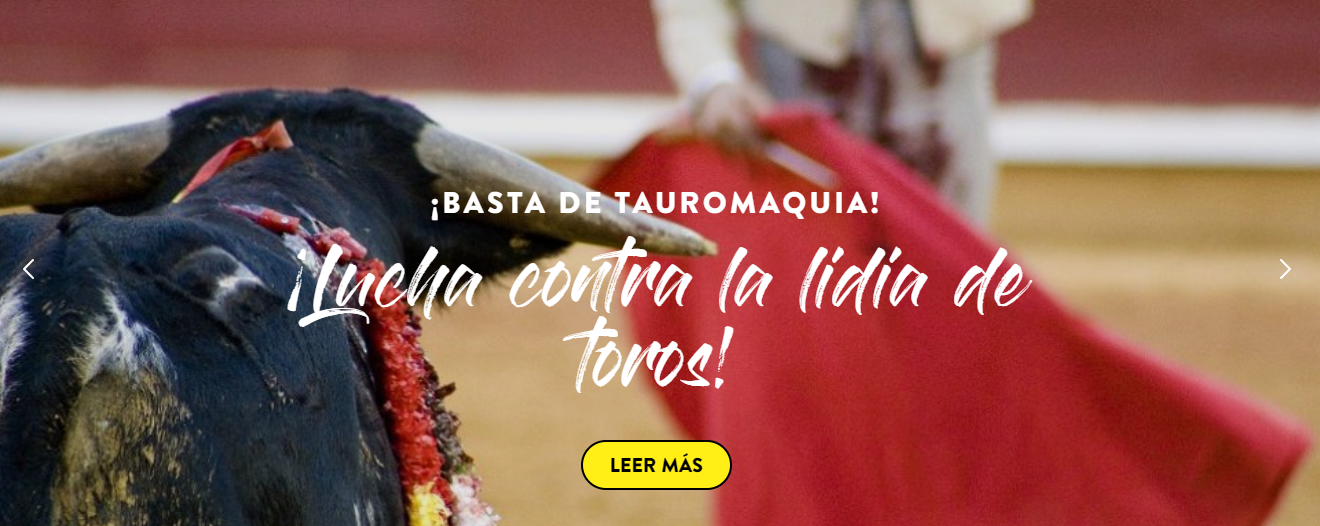 Captura de pantalla de la web de la Fundación