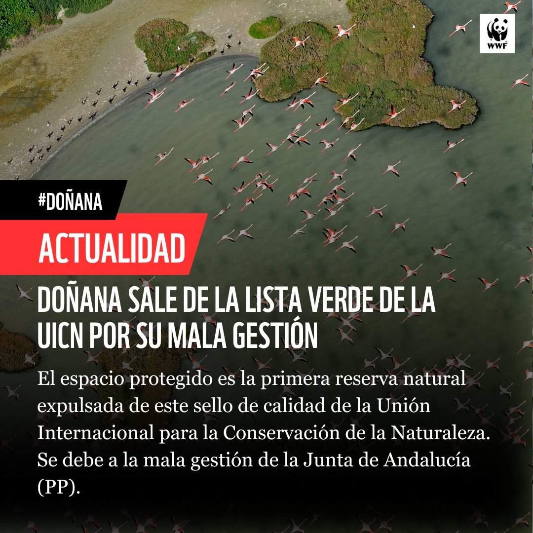 La noticia, en la web de WWF