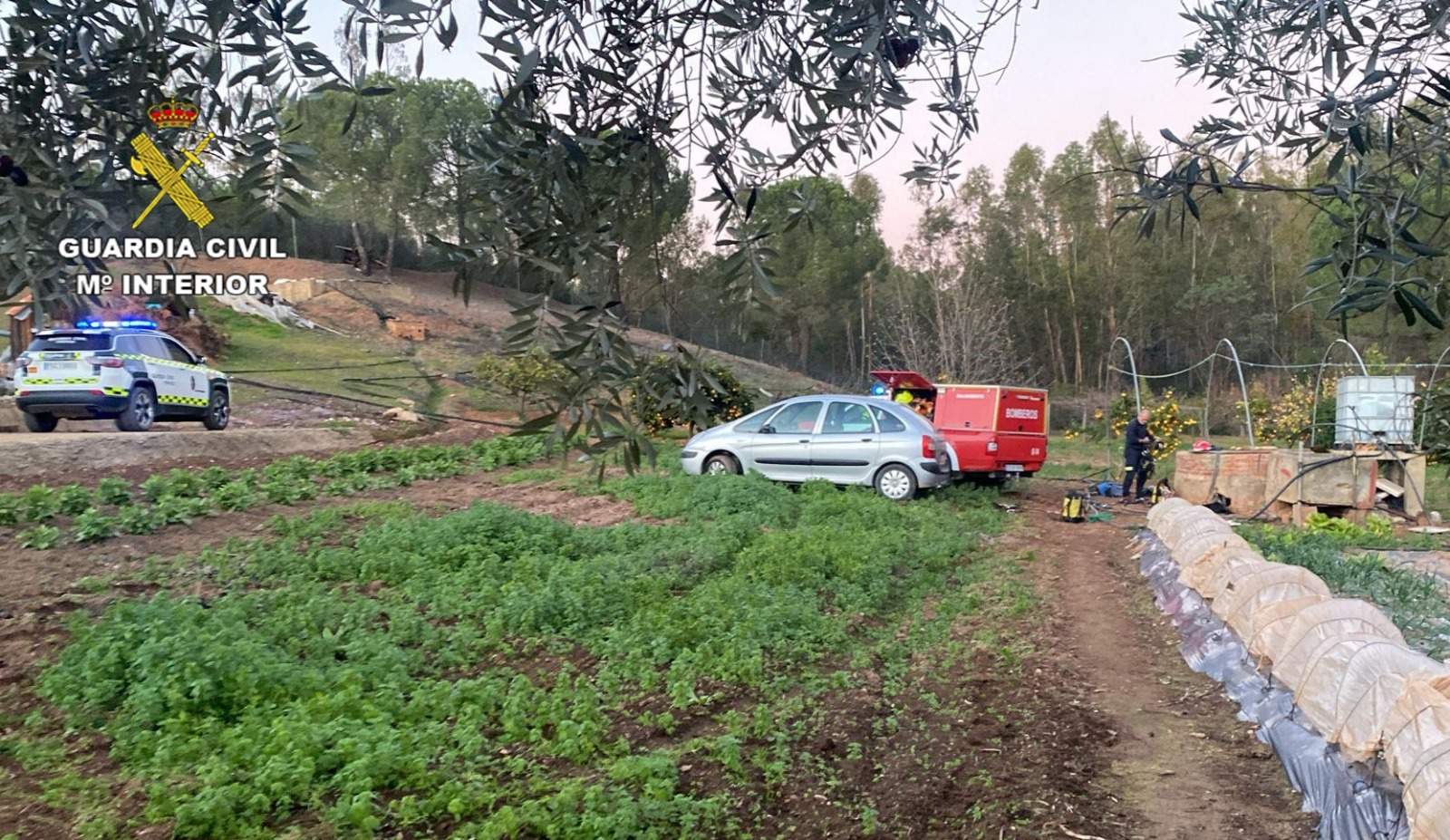 Zona del suceso
