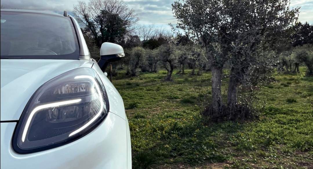 Vehículo de Ford en un olivar