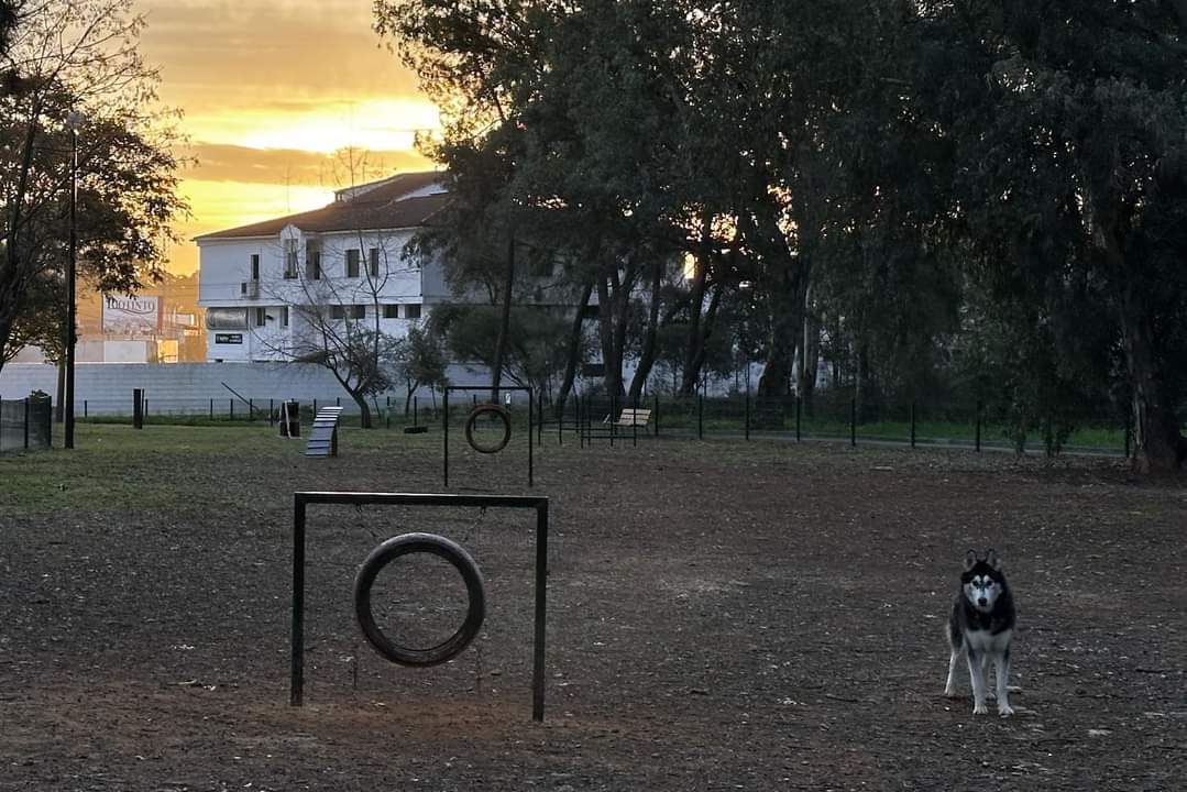 Parque en Riotinto (Foto compartida en el FB de Carlos Rojas)