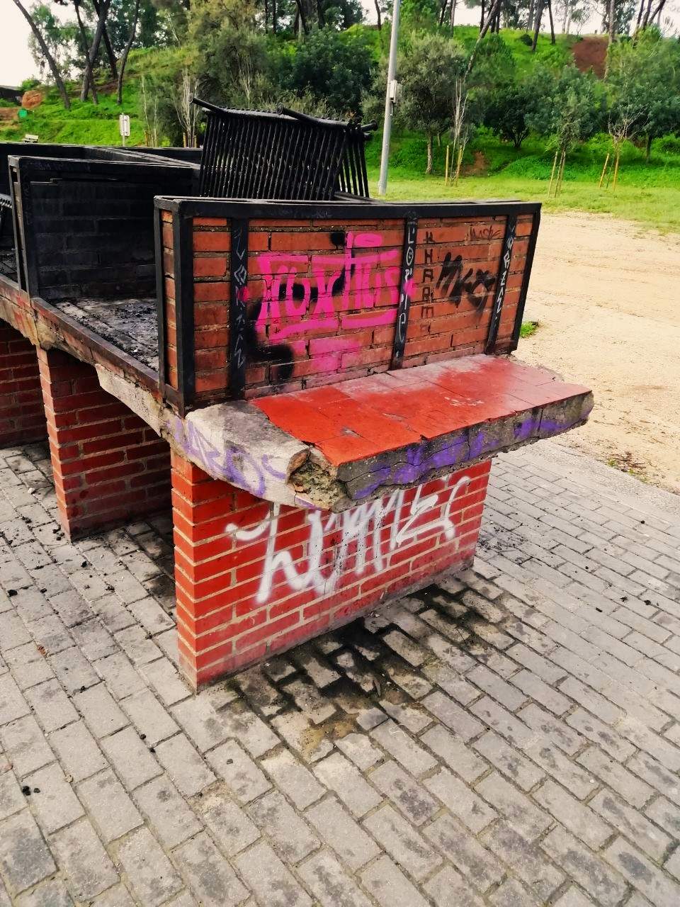 Barbacoa vandalizada