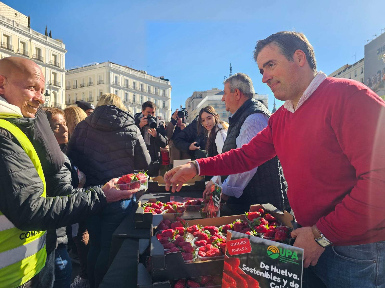 Reparto de fresas en Madrid