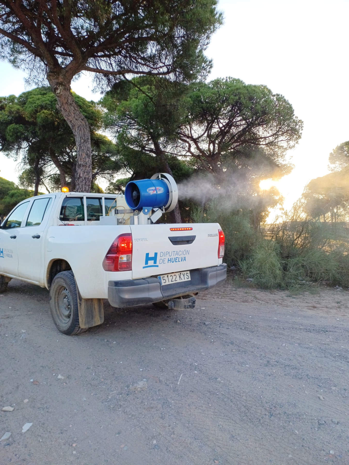 Tratamiento barrera en Punta Umbría