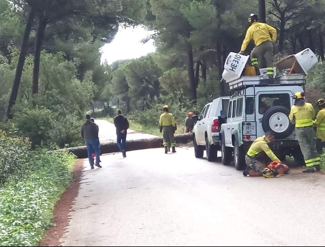 Cortes de carreteras en la zona de Hinojos (Foto: Infoca)
