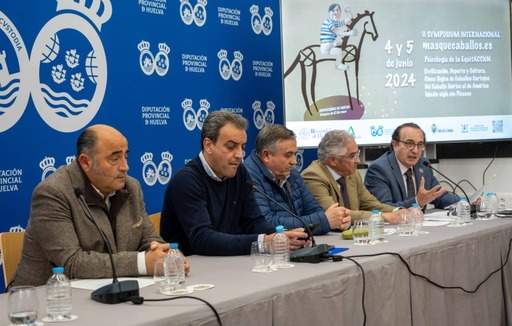 Un momento de la presentación en la Diputación