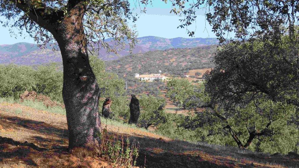 Paraje que atraviesa el Cordel de las Huelvas, una vía pecuaria referente en el Suroeste de España y Portugal