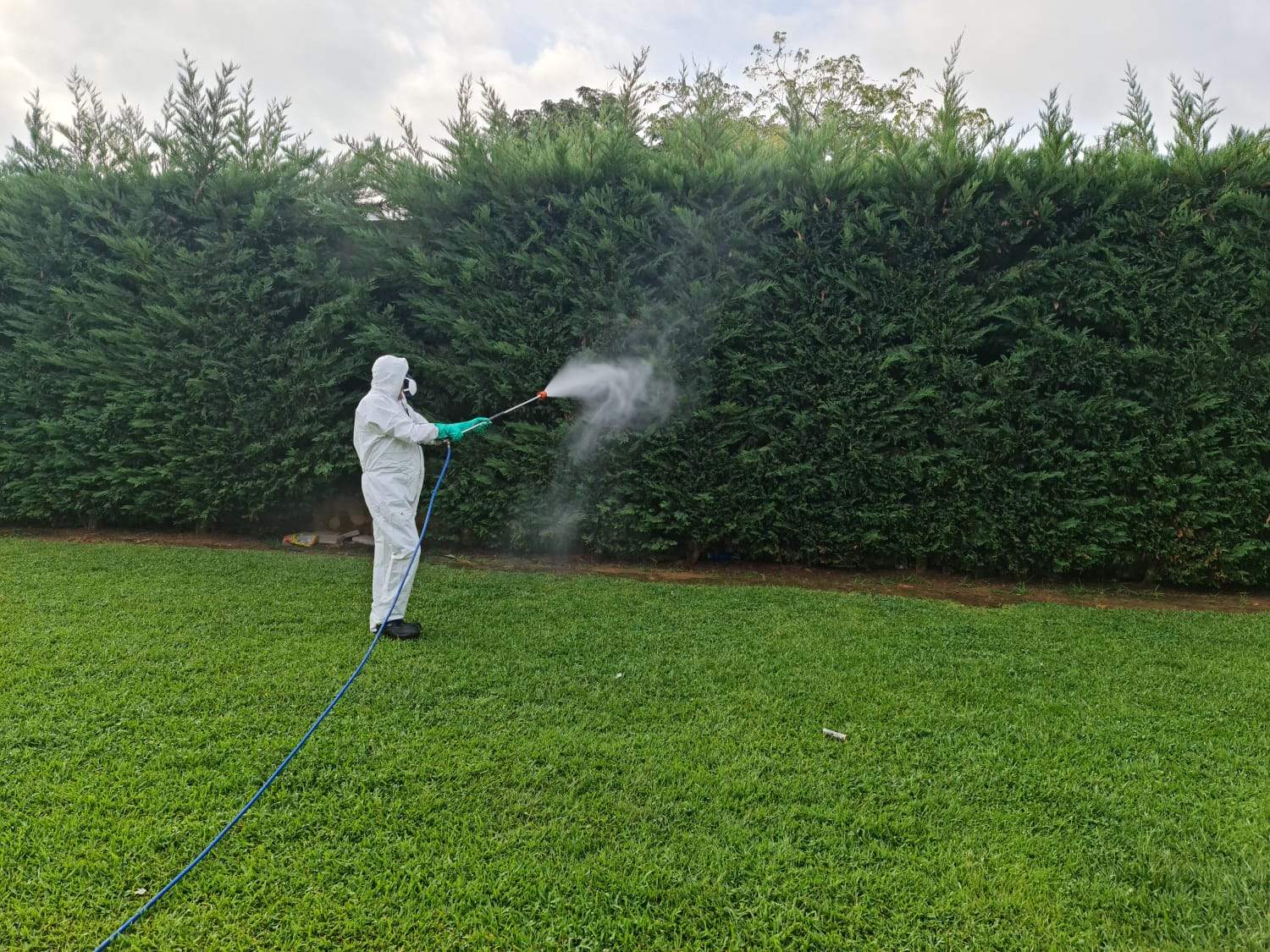 Trabajos de fumigación