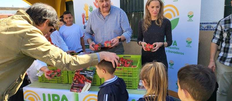 UPA reparte fresas de Huelva en e Virgen de Belén