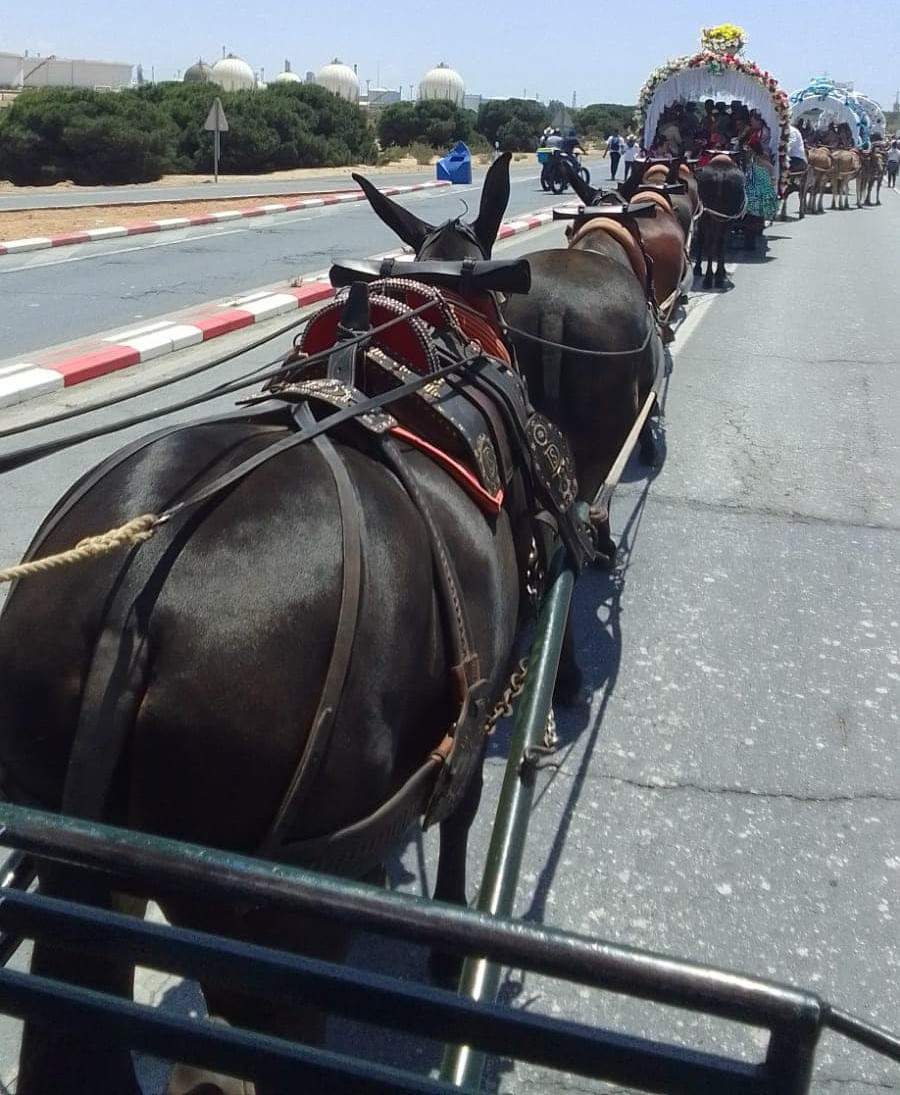 Desfile rociero por carretera