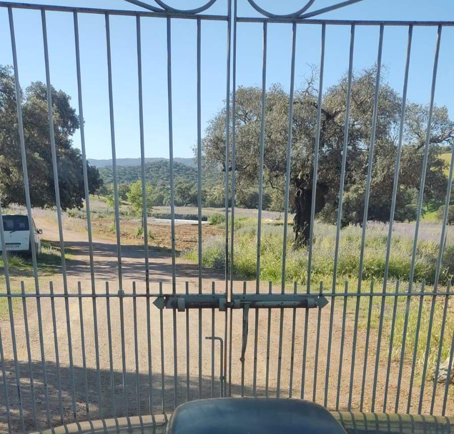 Cancela principa entrada Coto Caravales, sin candado