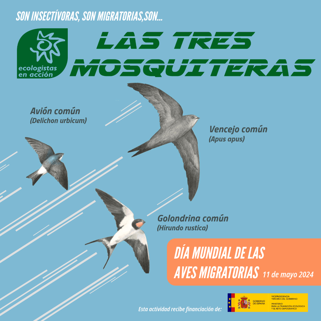 Campaña de Las tres mosquiteras