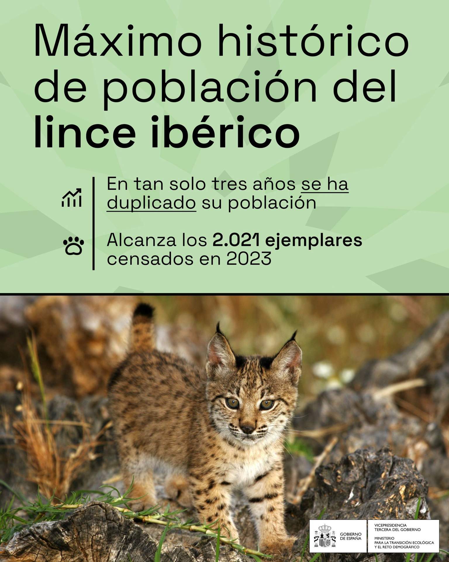 Programa del lince ibérico