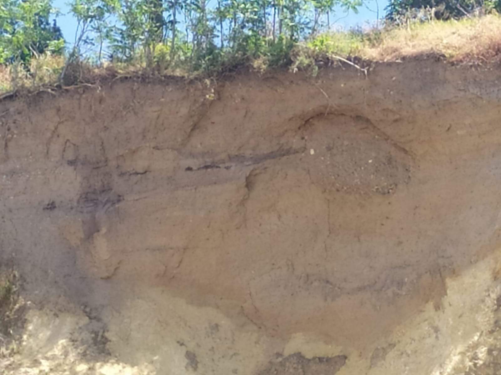 En la pared del Cabezo derrumbado se aprecian a simple vista pruebas de asentamiento