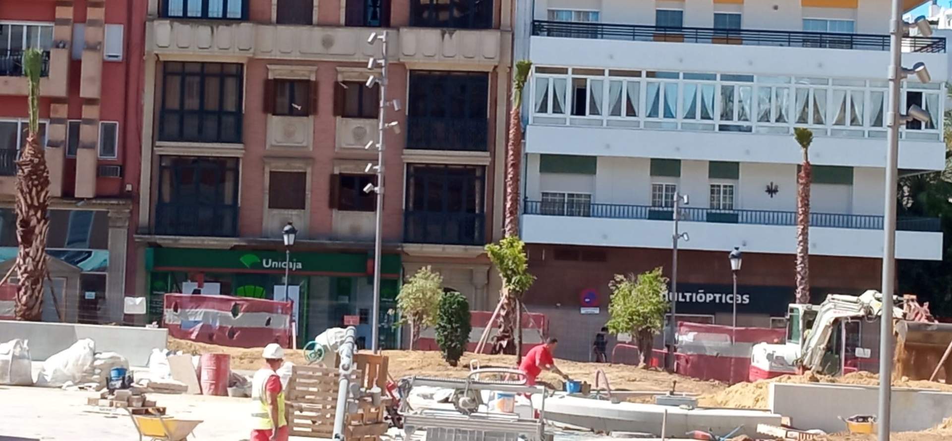 Palmeras nuevas en la plaza
