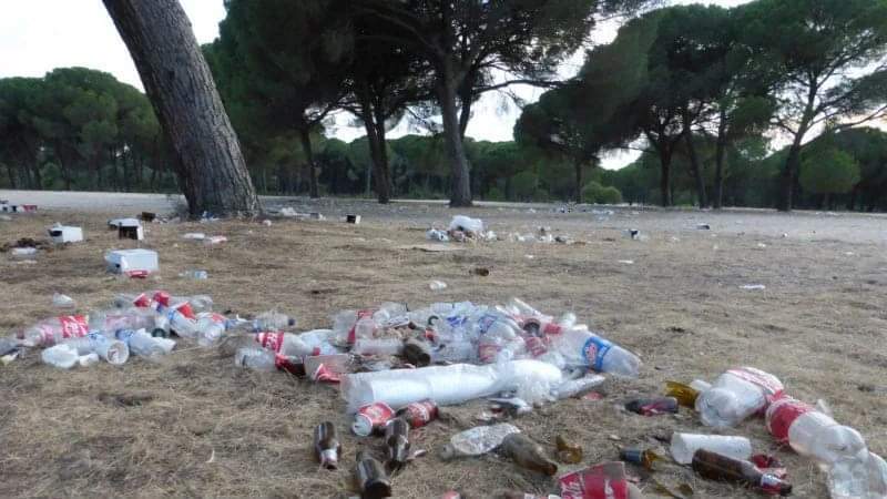 Basura acumulada en algunos caminos del Rocío, principal infracción