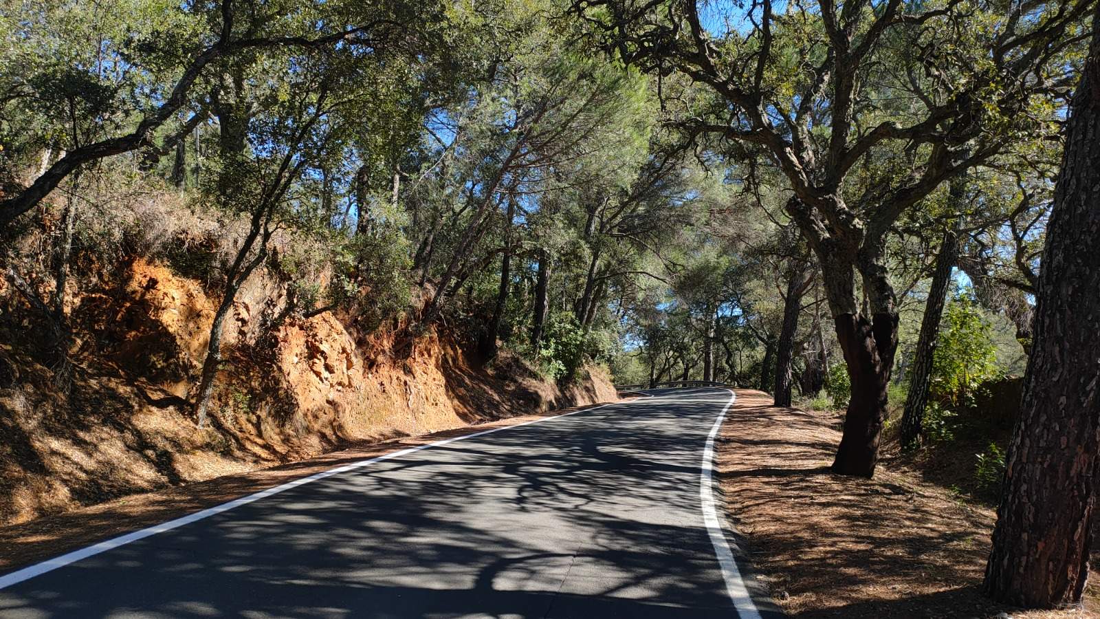 Cortegana-Aracena
