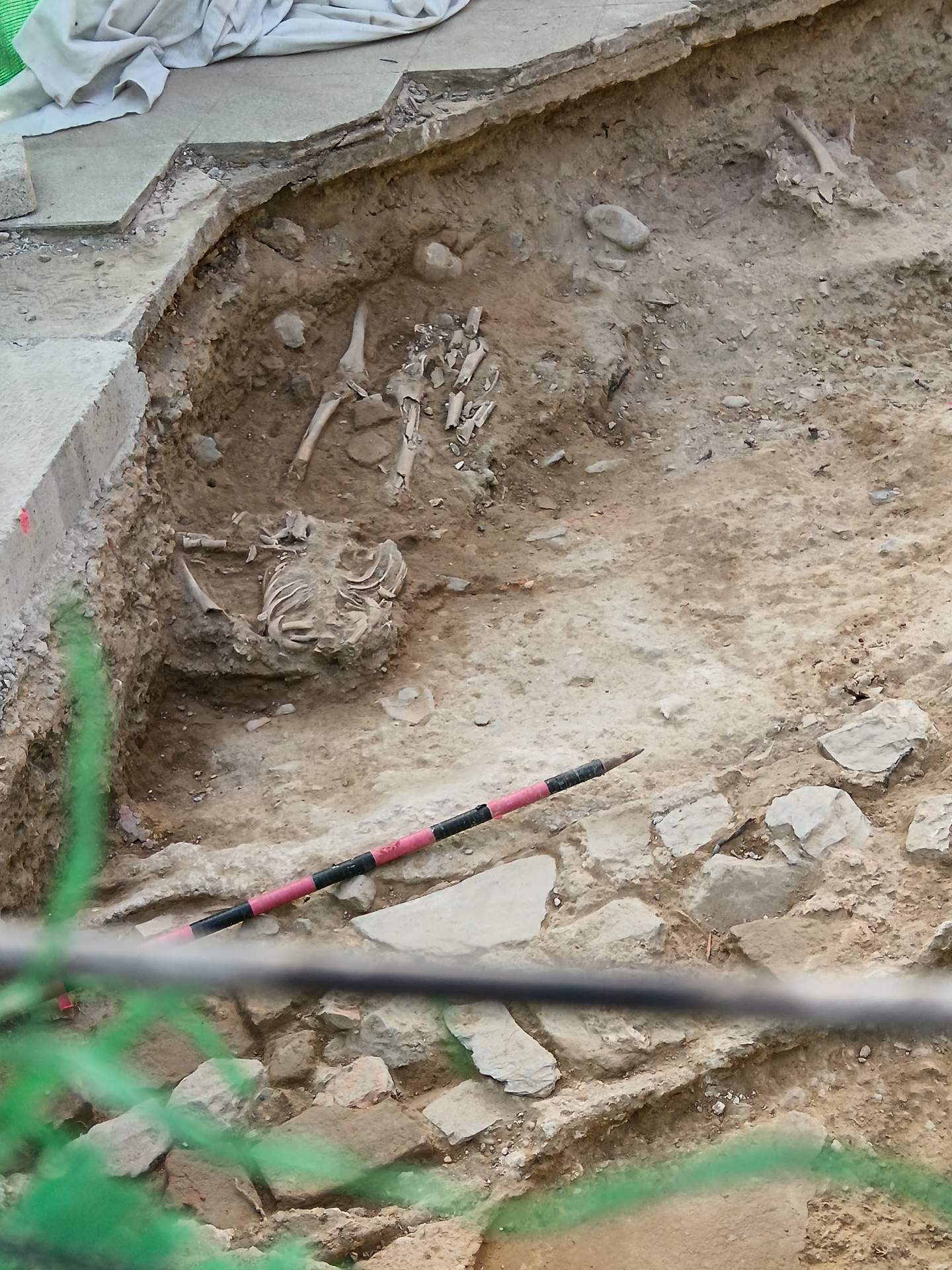 Restos hallados en las obras de San Pedro