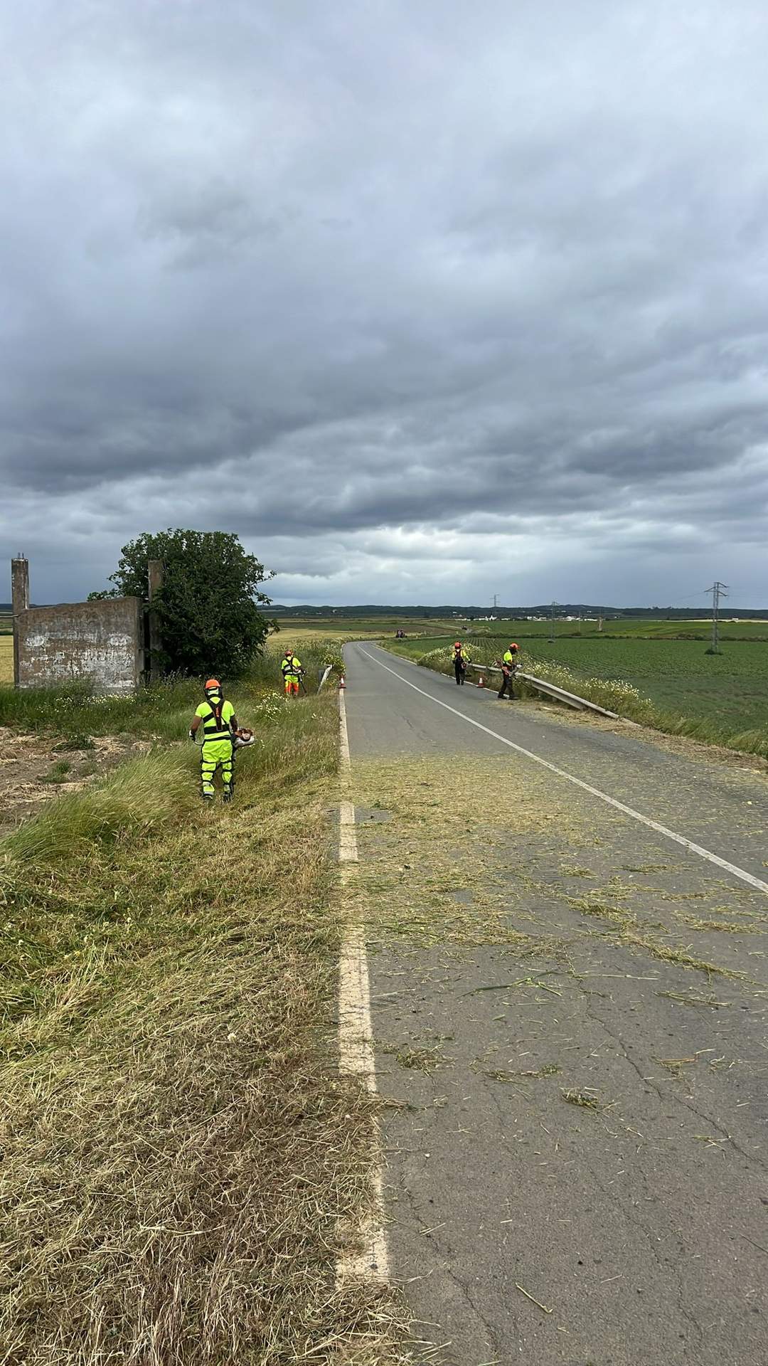 Cuadrilla limpiando la calzada
