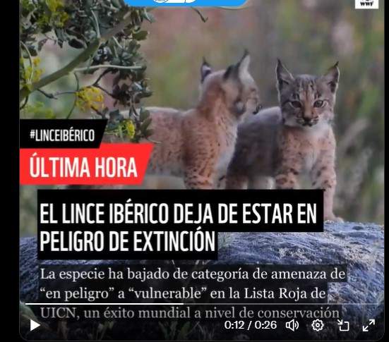 Captura de pantalla del balance realizado por WWF