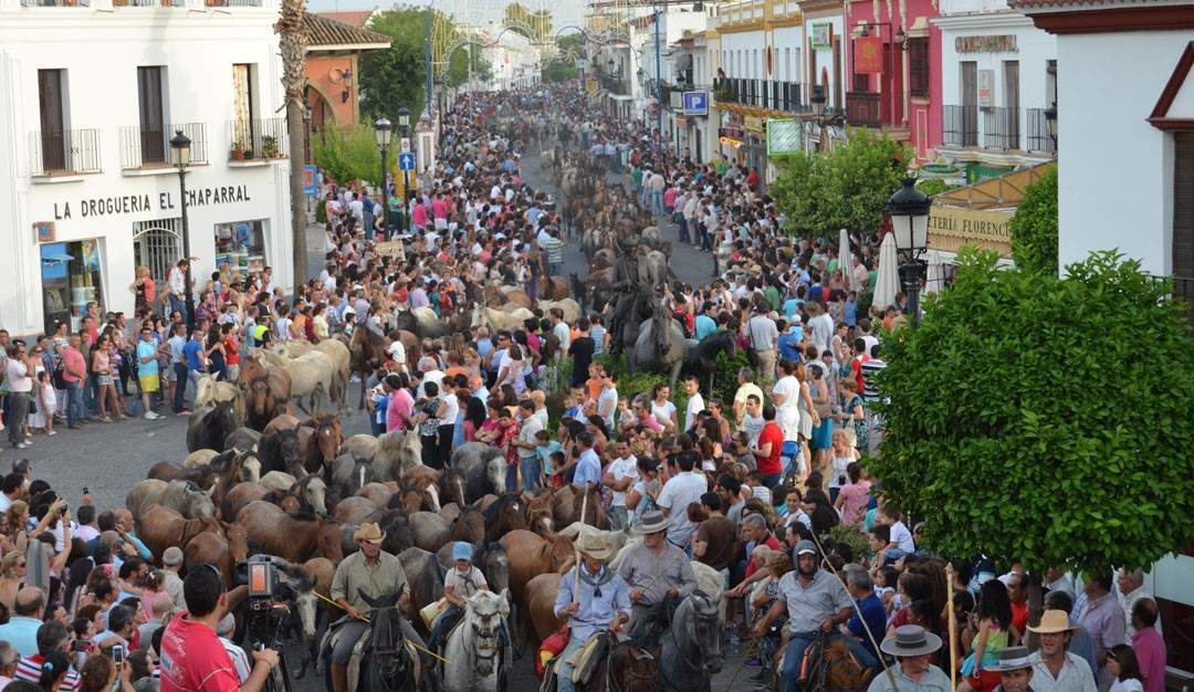 Las yeguas, en el Chaparral