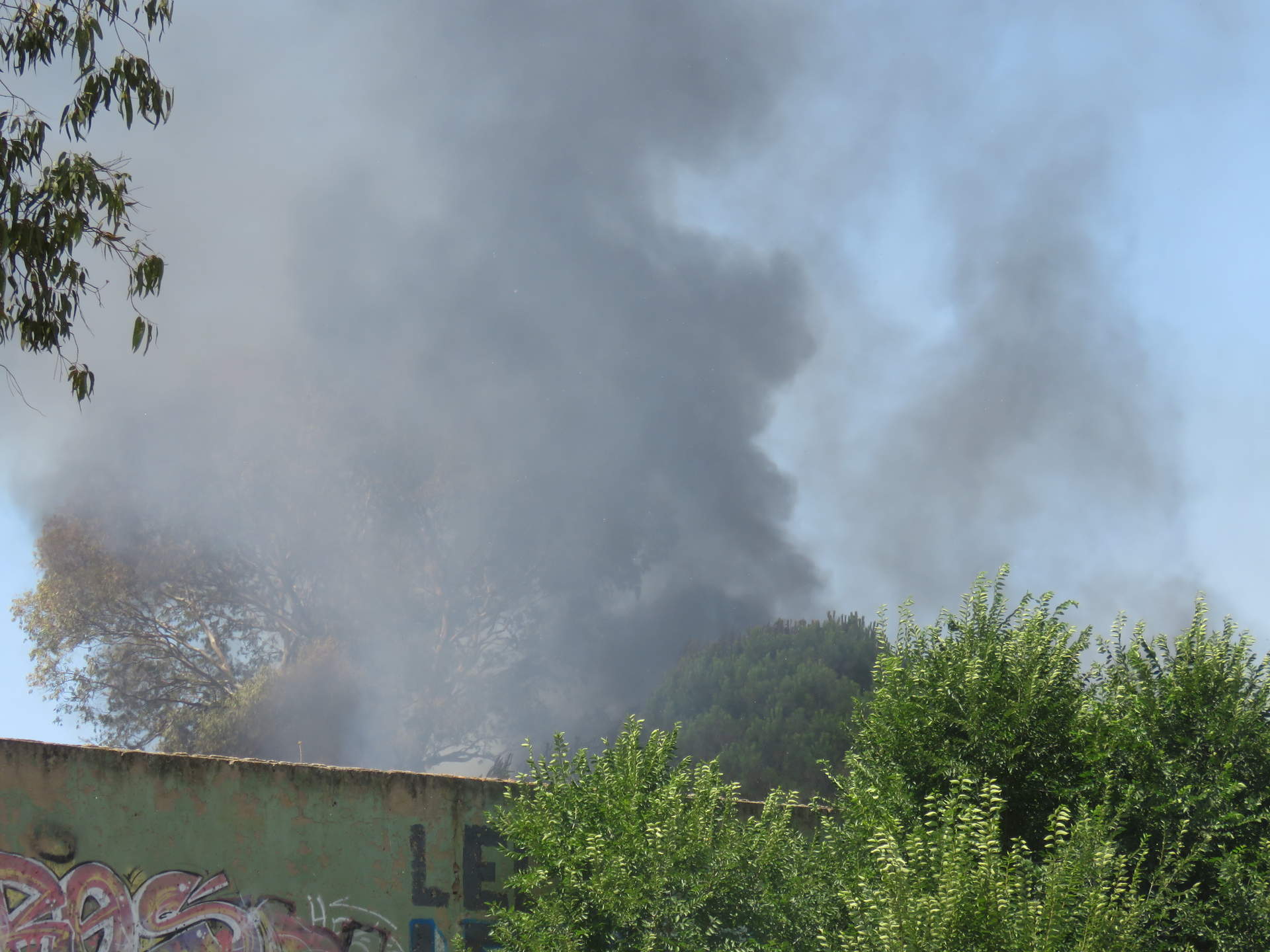 Humareda en el parque Moret
