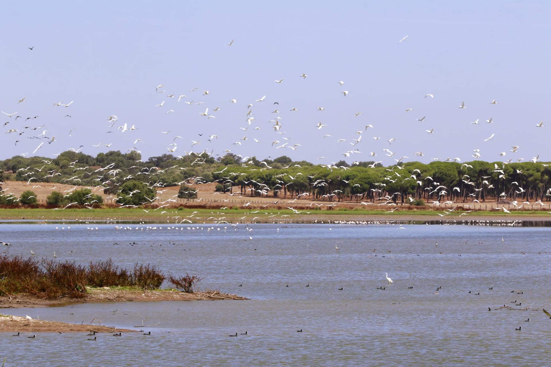 Laguna a desaguar