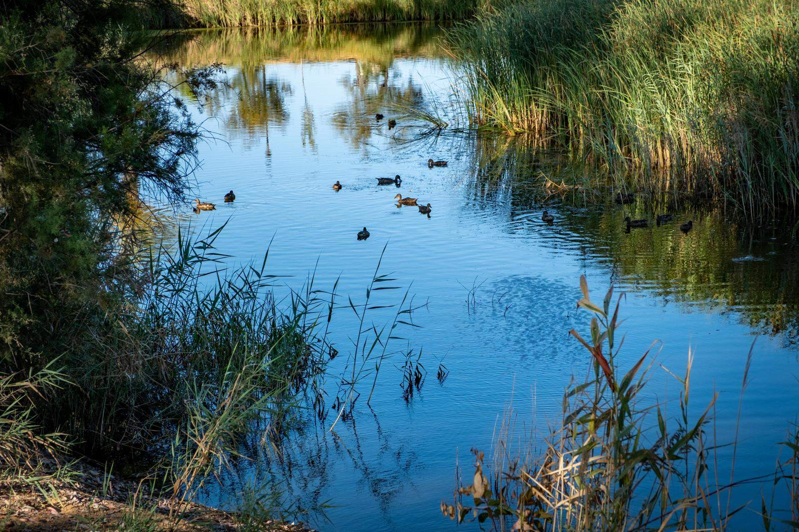 Laguna de La Rábida