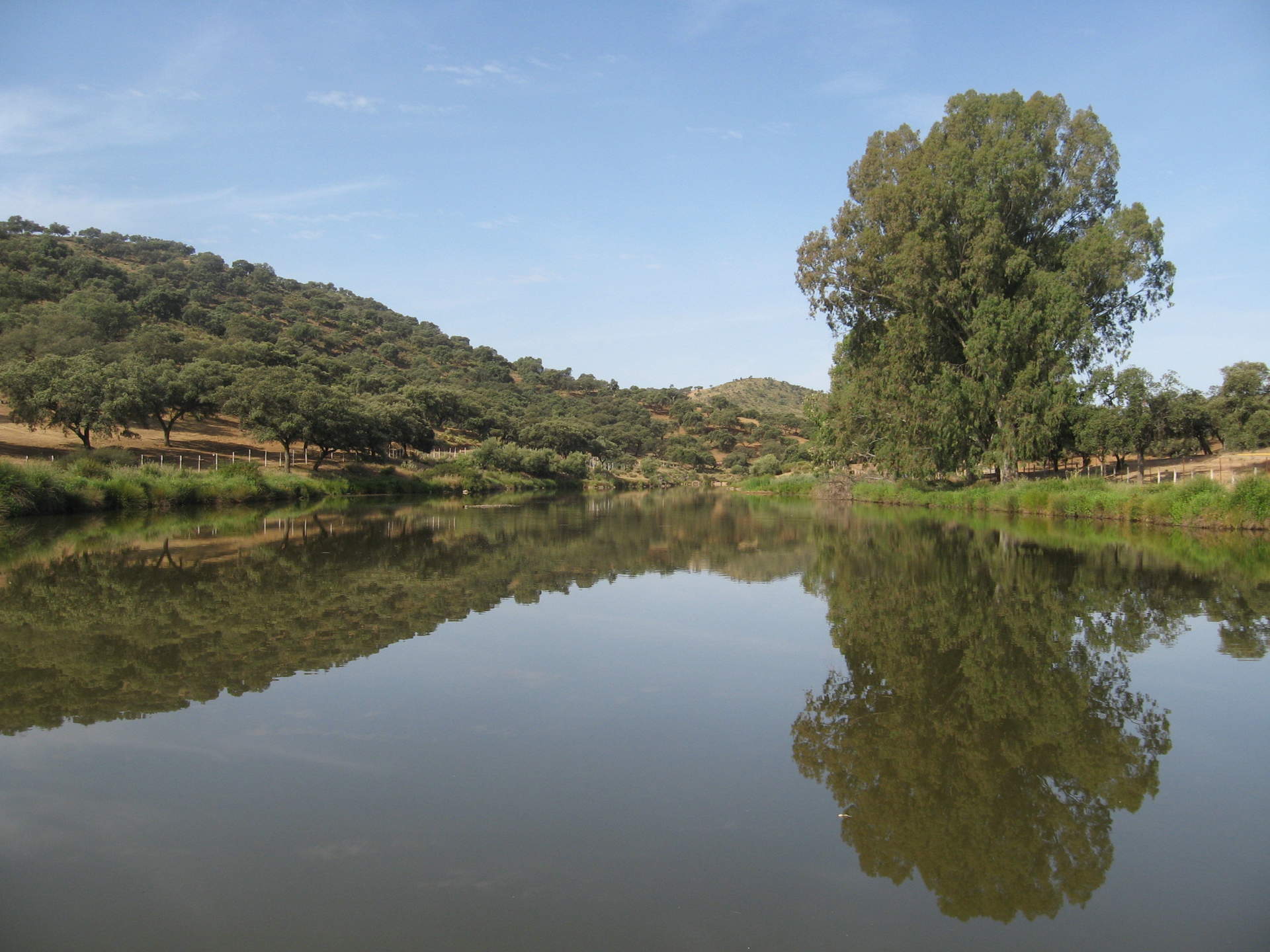Cuenca del Guadiamar (Foto: CHG)