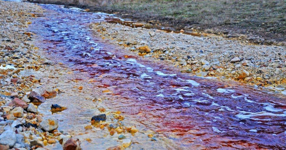 Cauce contaminado