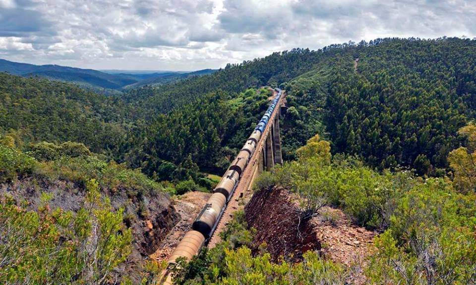 Un mercancías circula por la Huelva-Zafra