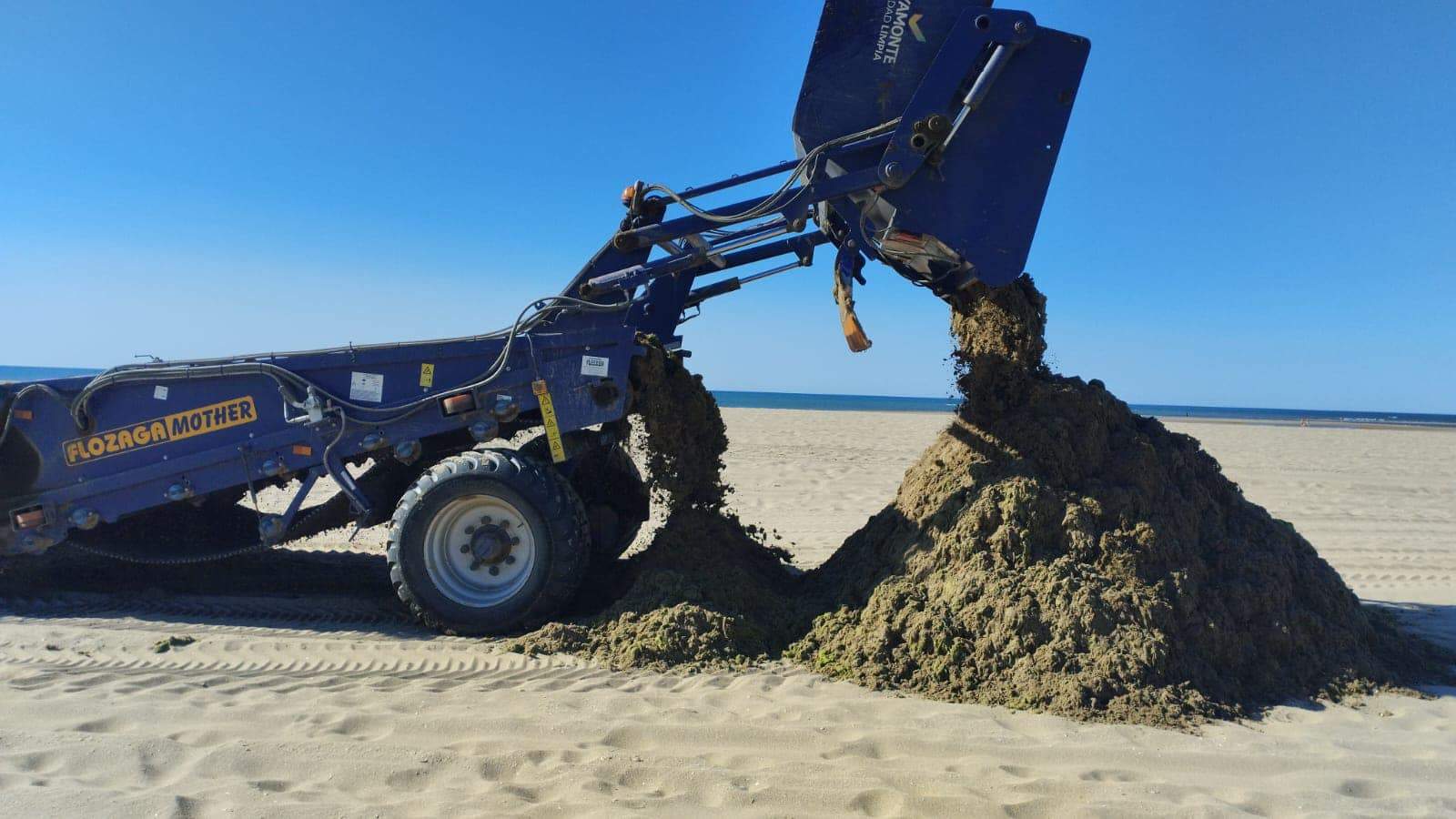 Trabajos municipales de retirada de algas