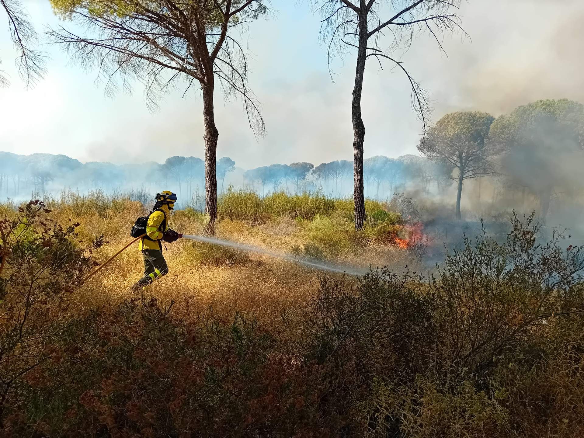 Un bombero forestal ataja el avance